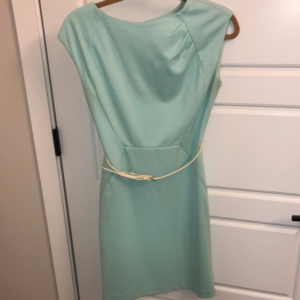 The Limited- belted dress